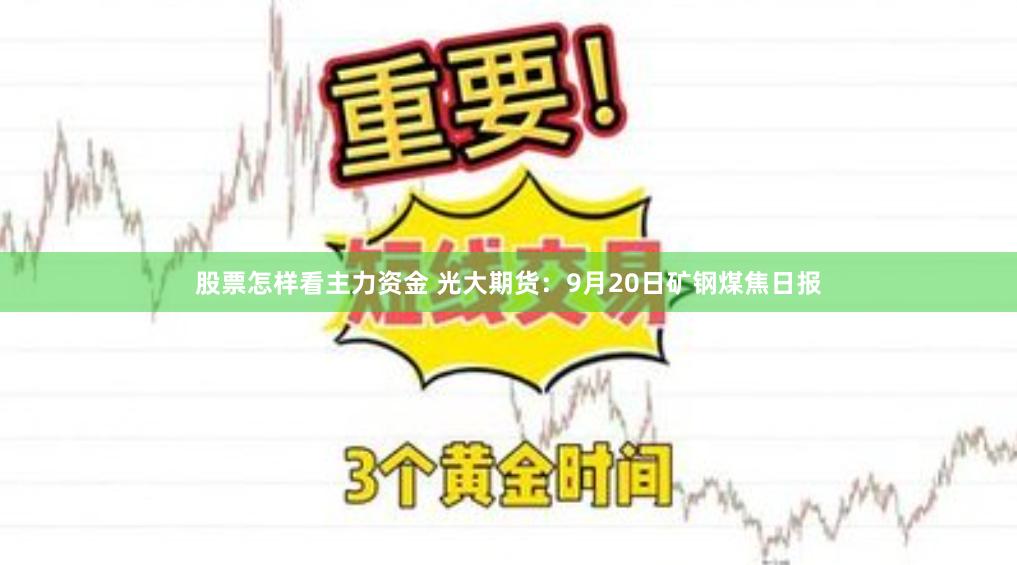 股票怎样看主力资金 光大期货：9月20日矿钢煤焦日报