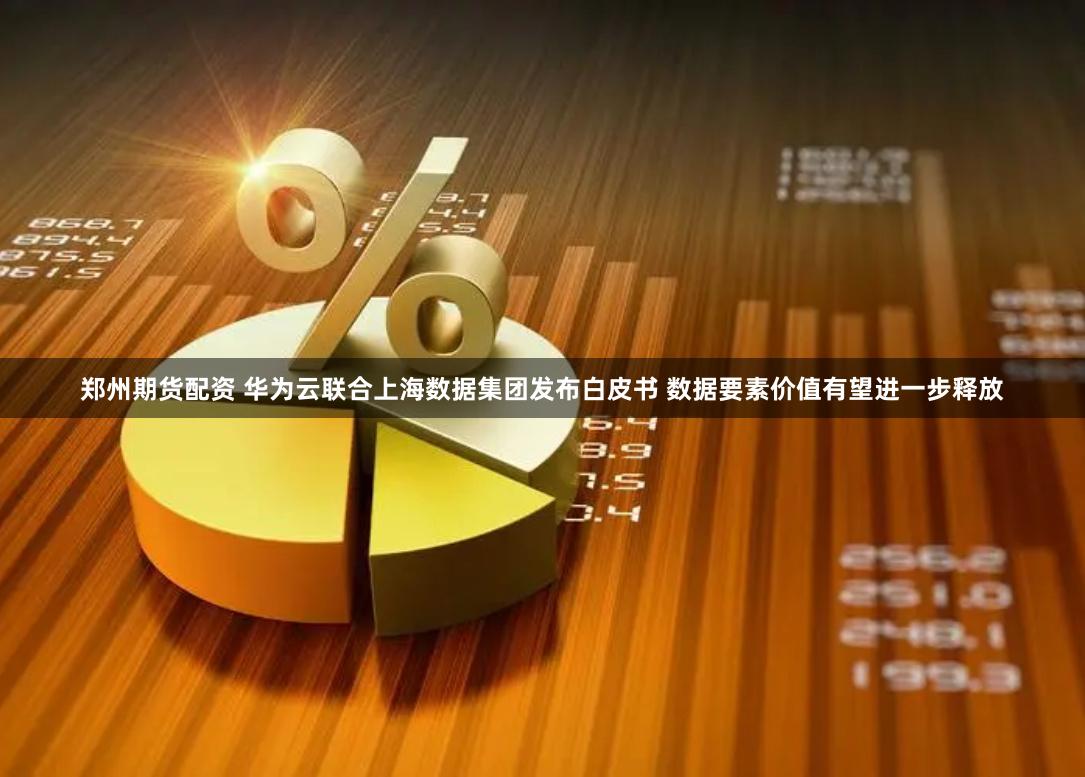 郑州期货配资 华为云联合上海数据集团发布白皮书 数据要素价值有望进一步释放