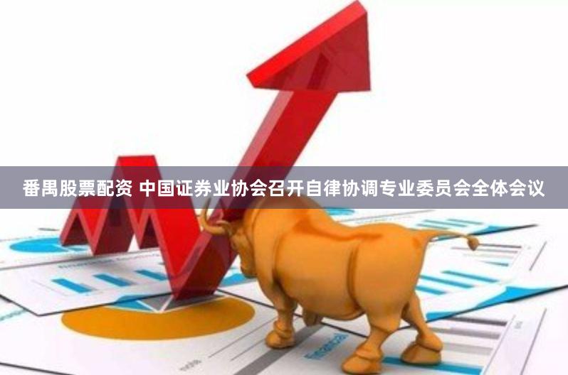 番禺股票配资 中国证券业协会召开自律协调专业委员会全体会议
