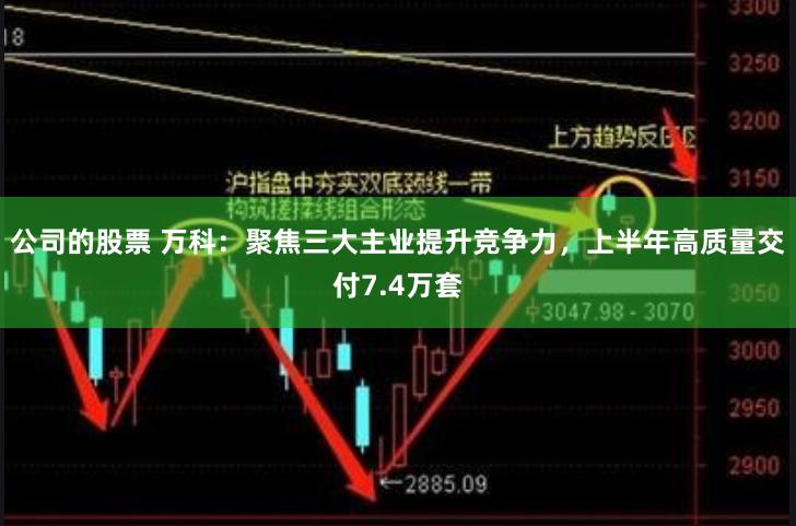 公司的股票 万科：聚焦三大主业提升竞争力，上半年高质量交付7.4万套