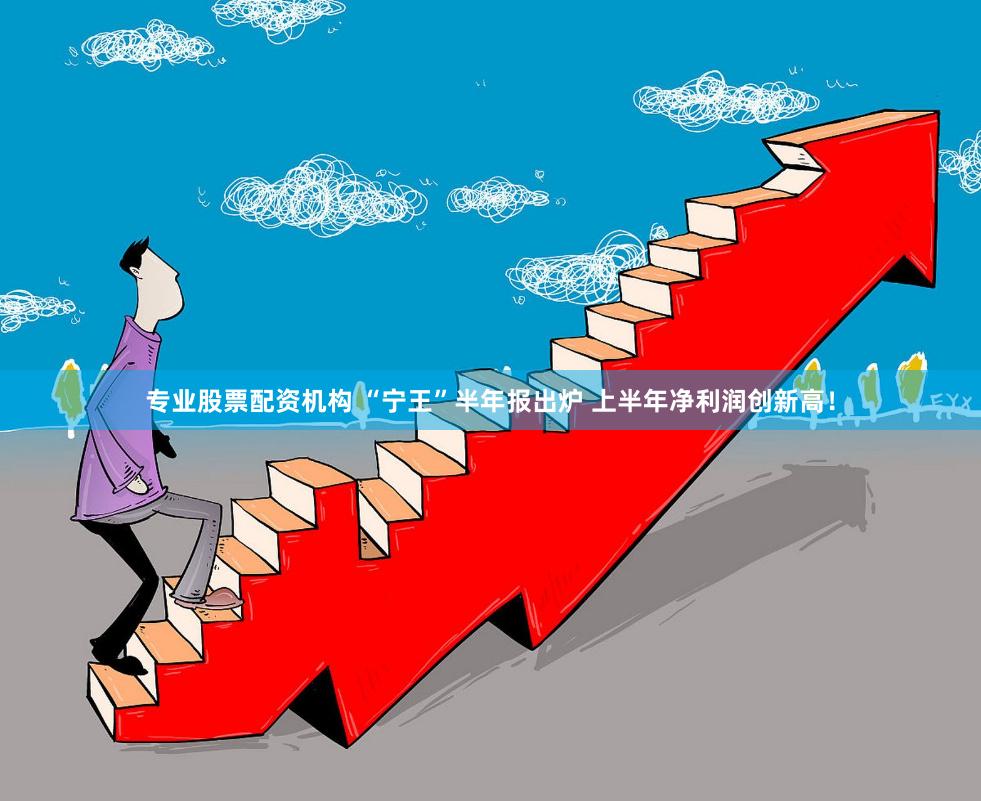 专业股票配资机构 “宁王”半年报出炉 上半年净利润创新高！
