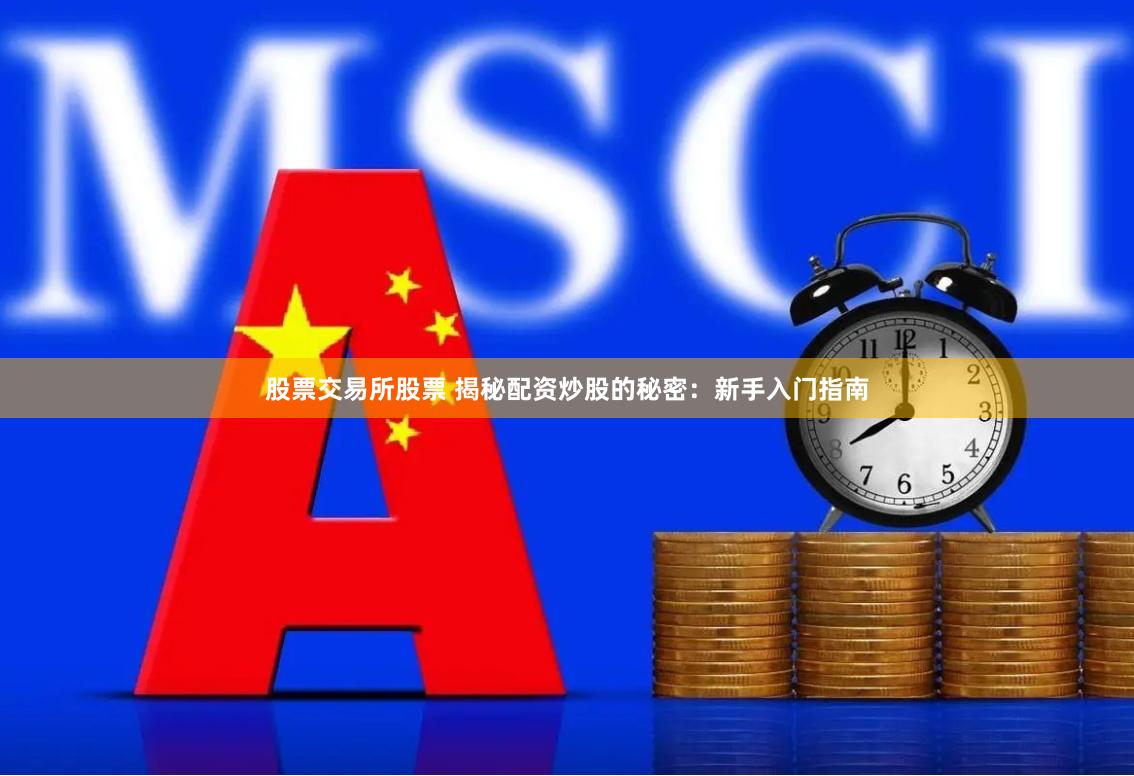 股票交易所股票 揭秘配资炒股的秘密：新手入门指南